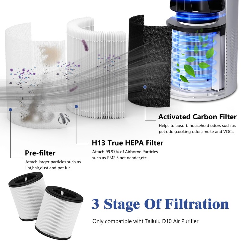 XBWW 2 Packs D10 Replacement Filter Compatible with Tailulu D10