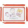 Skater KTMT1AG-A Chopping Board AG+ Antibacterial 21 x 32.5 cm
