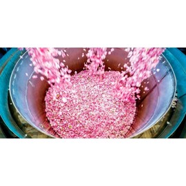 Biofresh Rose of Bulgaria Soap 100 g (100 g x 2)