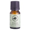 Perfect Potion Pure Essential Oil - Rosemary, 10ml