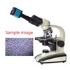 37MP 1080P 60FPS HDMI USB Industrial Microscope Camera with Conversion