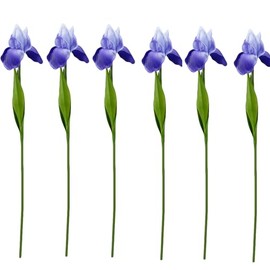Pack of 6-Real Touch 18" Bearded Iris Artificial Flowers for Decoration Centerpiece Arrangements (Blue)