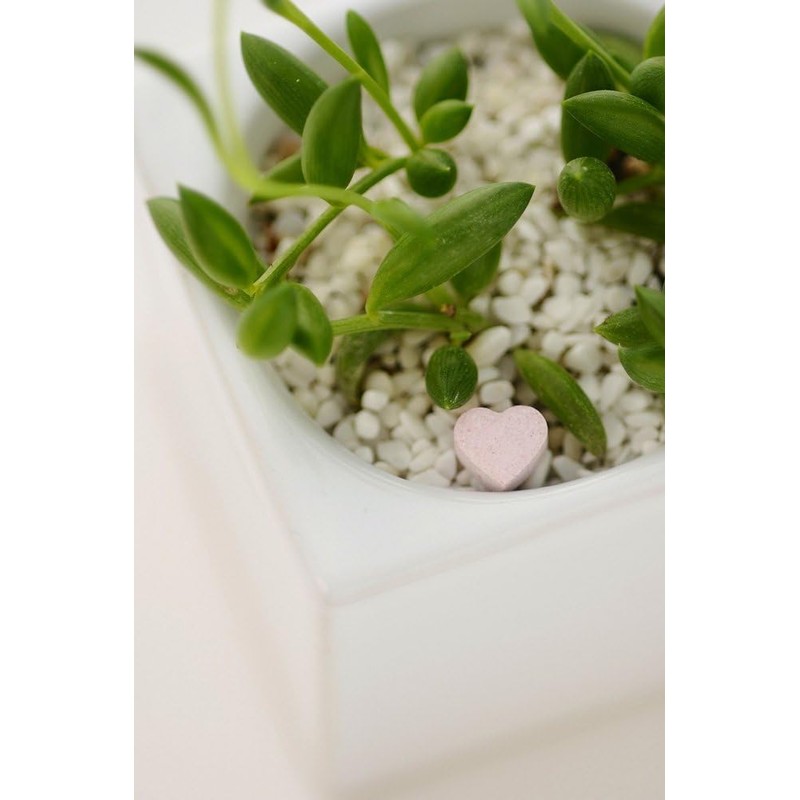 haiponekkusu Garden Essence Approximately 50 Tablets with