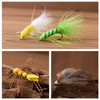 BASSDASH 18pcs Bass Fly Fishing Flies, Dry Wet Flies Poppers
