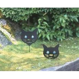 konparu Nose Just An Act Cat Pack of 2