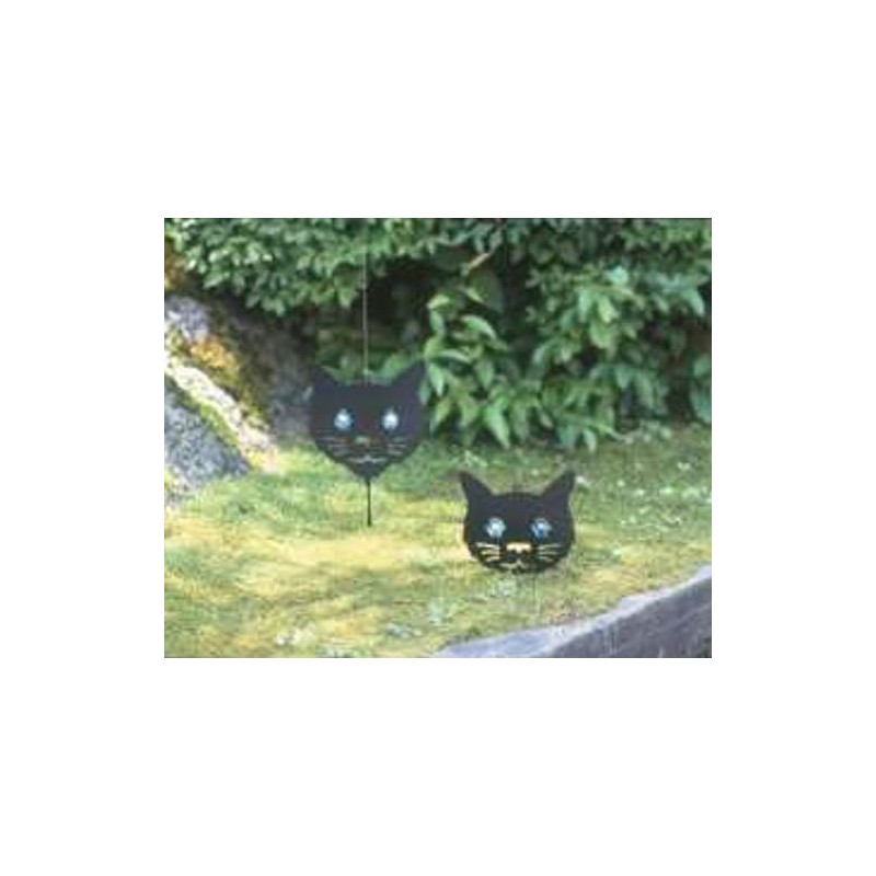 konparu Nose Just An Act Cat Pack of 2