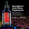 Brightwell Aquatics SpongExcel – Ionic Silica Solution for Marine Sponge