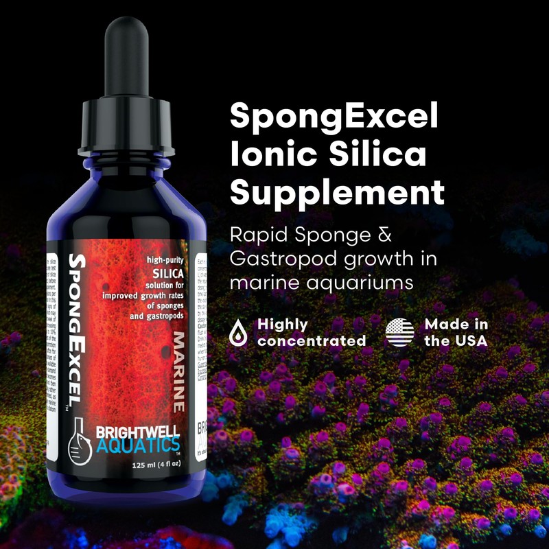 Brightwell Aquatics SpongExcel – Ionic Silica Solution for Marine Sponge