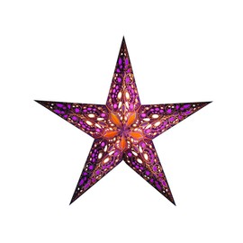 Earth Friendly Starlightz Taj Poinsettia 60 cm EarthFriendly + Wiring