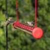 Perky-Pet HUMBAR200DTC Hummerbar Hummingbird Feeder, 2' , Red