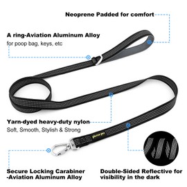 Plutus Pet Heavy Duty Dog Leash with Lockable Aluminum Carabiner, 4/6 Feet Long, Double-Sided Reflective Nylon, Padded Handle, for Puppy, Small, Medium and Large Dogs (Black, 4/5" x 4')