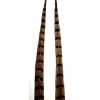 RINGNECK PHEASANT TAIL FEATHERS - 18-22 inches - 2 pc.
