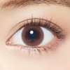 Erge Tomé 2WEEKS Clarity Brown -3.00 Pack of 6