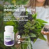 Elderberry Immune Support with Vitamin C, Zinc & Black Elderberry