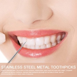 6 Piece Set Stainless Steel Metal Toothpicks 304 Stainless Steel Toothpicks Reusable Metal Toothpicks for Outdoor Picnic Camping with Toothpick Container