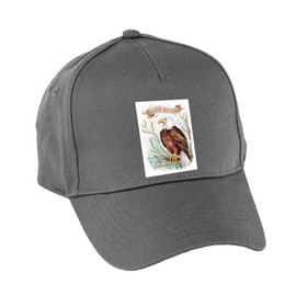 Hippowarehouse Happy Birthday Cute Bald Eagle Watercolour Premium Printed 5 Panel Baseball Cap hat OneSize Adults Grey