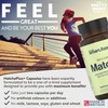 Green Tea Extract Capsules with Organic Matcha - Enhanced with