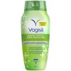 Vagisil Feminine Wash for Intimate Areas and Sensitive Skin, Healthy