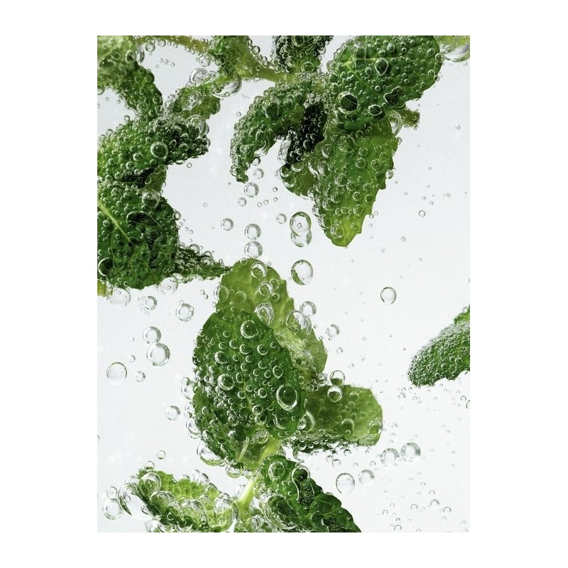 Mint Biome Scalp Deep Cleansing Shampoo 250ml & Treatment 250ml