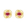 Ivy Gems 9ct Yellow Gold Ruby Stud Earrings