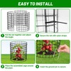 U0U 15PCS 5 Pack Plant Protector from Animals, Metal Mesh