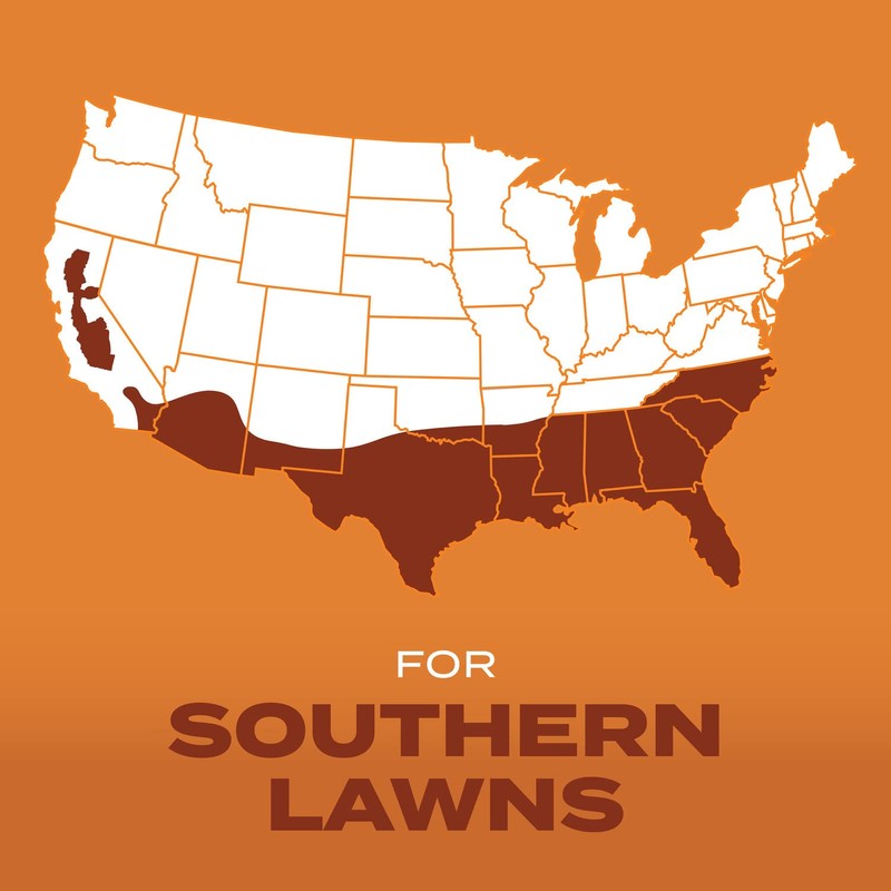 Scotts Scotts Turf Builder Grass Seed Bermudagrass with Fertilizer and