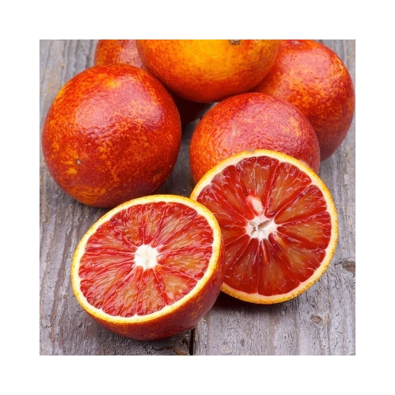 Chamgoods Italian Moro Blood Orange Extract Powder 200g, 2 cans,