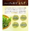 Warm Farm Japanese Wormwood Tea Tea Bag 0.1 oz (3