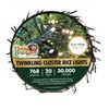 Holiday Bright Lights 20FT Cluster Rice Light Reel with 768