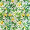 Stained Glass Window Film，Spring Window Clings,Rainbow Privacy Window Film One