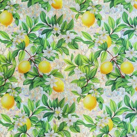 Stained Glass Window Film，Spring Window Clings,Rainbow Privacy Window Film One Way Decorative Windows Privacy Films Static Cling Bathroom Door Room Lemon Decor Renter Friendly Tint for Home Sticker