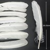 GYBZZR 12Pcs Natural Craft Feathers Long 8-10 Inch-Bulk Feathers for