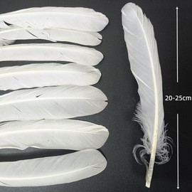 GYBZZR 12Pcs Natural Craft Feathers Long 8-10 Inch-Bulk Feathers for Crafts DIY Wedding Decor Fly Tying Costumes (White Goose)