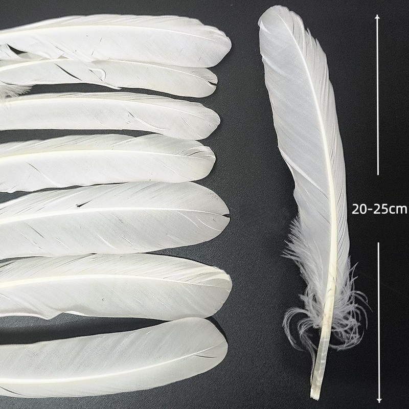 GYBZZR 12Pcs Natural Craft Feathers Long 8-10 Inch-Bulk Feathers for