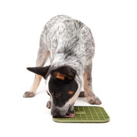 DOG by Dr. Lisa Lick Mat para perros – Tapete de aseo y baño – Almohadilla de alimentación lenta con ventosa para perros – 53 ventosas – Ideal para ce