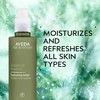 Aveda Botanical Kinetics Hydrating Lotion | Daily Face Moisturizer for