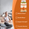 Ashwagandha & Vitamin D Gummy, Nature Vegan Non-GMO, Gluten Free,