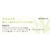 プロヴァンス ハンドクリーム 保湿成分配合 アロエベラの香り フランス製 26g OZ-PVH-1-2