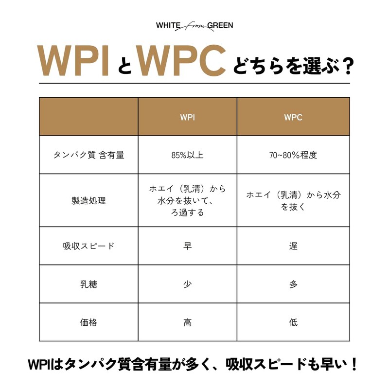 ハイブリッド腸ファイバープロテイン (38g×1個, プレーン) WPI 3つの腸の奥まで届く素材配合 鈴木祐 監修 国内製造