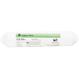 Pentair Pentek 255526-43 Inline Carbon