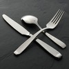 Oneida T1037020AWMM Parkdale 20-Piece Flatware Set