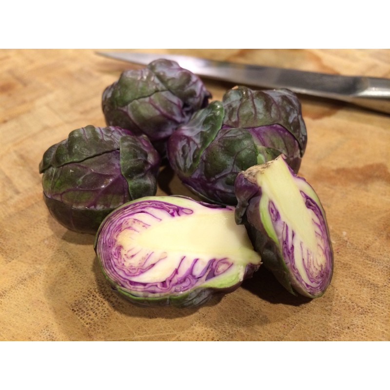 22Day Seeds: Seeds Purple Brussels Sprouts/Cabbage/Non GMO/Heirloom