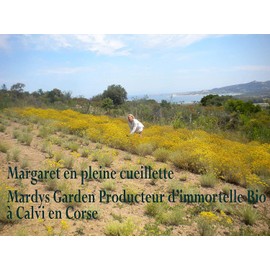 BIOTONIC Immortelle Dry Oil 50 ml Multifunctional for Body, Face and Hair Regenerates and Revitalises