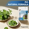 CONKAT Rodent Repellent - Natural Peppermint Balls for Mice
