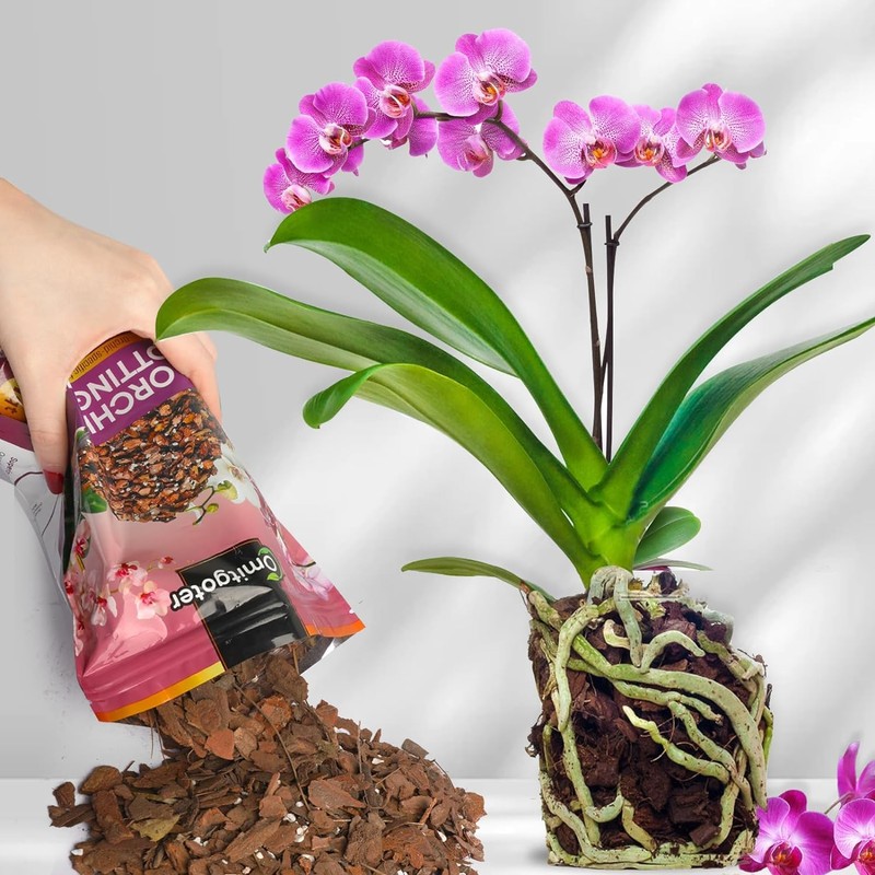 Omitgoter Organic Orchid Potting Mix 1qt, Mixture of Orchid Bark