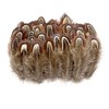 Happy Feather 100 pcs Natural Pheasant Plumage Feathers 2-3 Inches