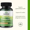 Swanson Bacillus Coagulans - Natural Probiotic Supplement Supporting Digestive Health
