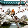 TUESMEILL Artificial Birds for Crafts Clip On Bird Ornaments Artificial