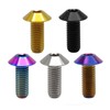 RISON Titanium Bolts M5 x 0.8 x 16 mm Titanium
