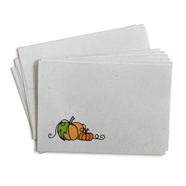 Autumn Pumpkin Blank Fall Cards - 24 Greeting Cards with Envelopes